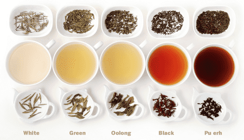 The Colors of Tea: 7 Different Types of Teas