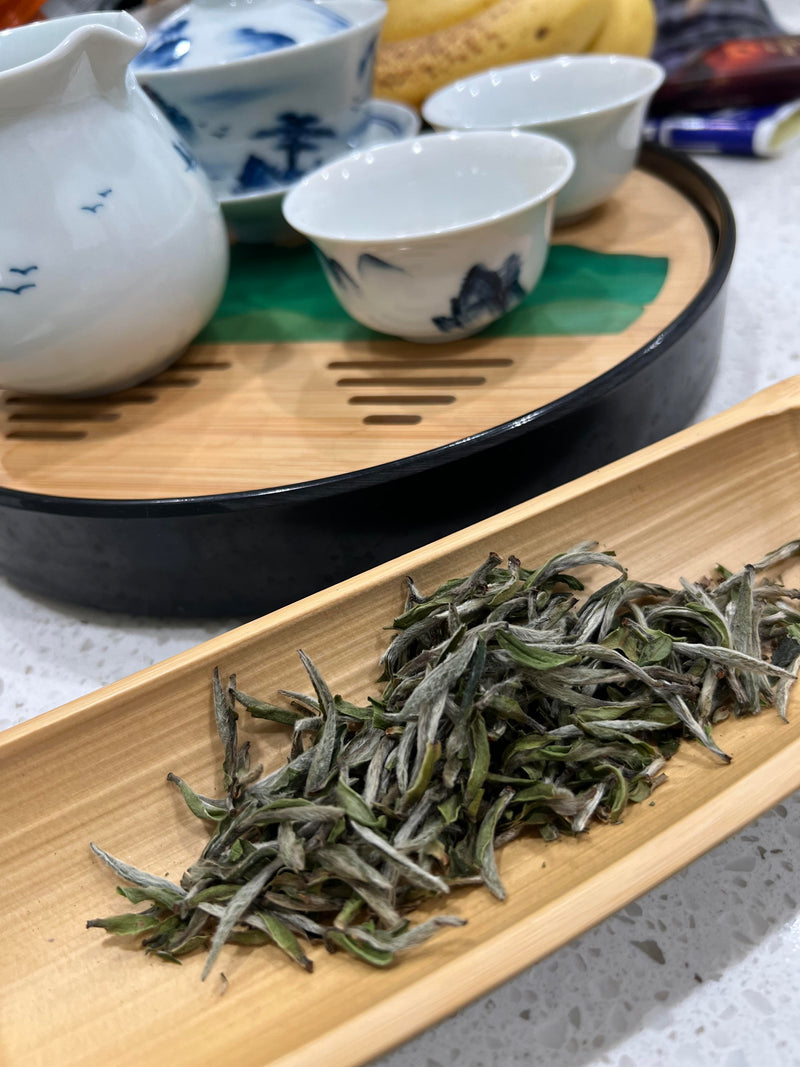 White Tea: White Hair Silver Needle / Baihao Yinzhen